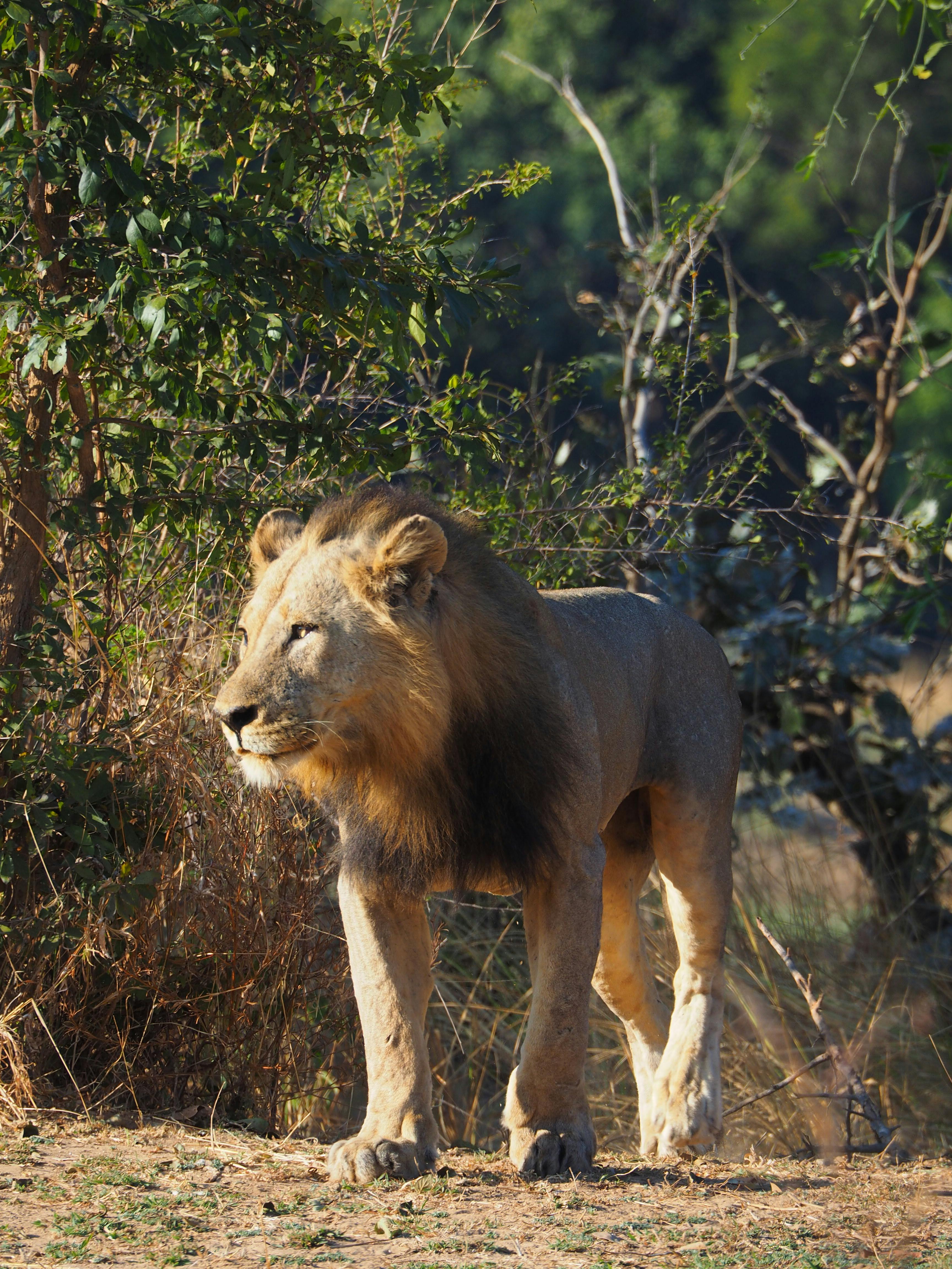 Ethopia